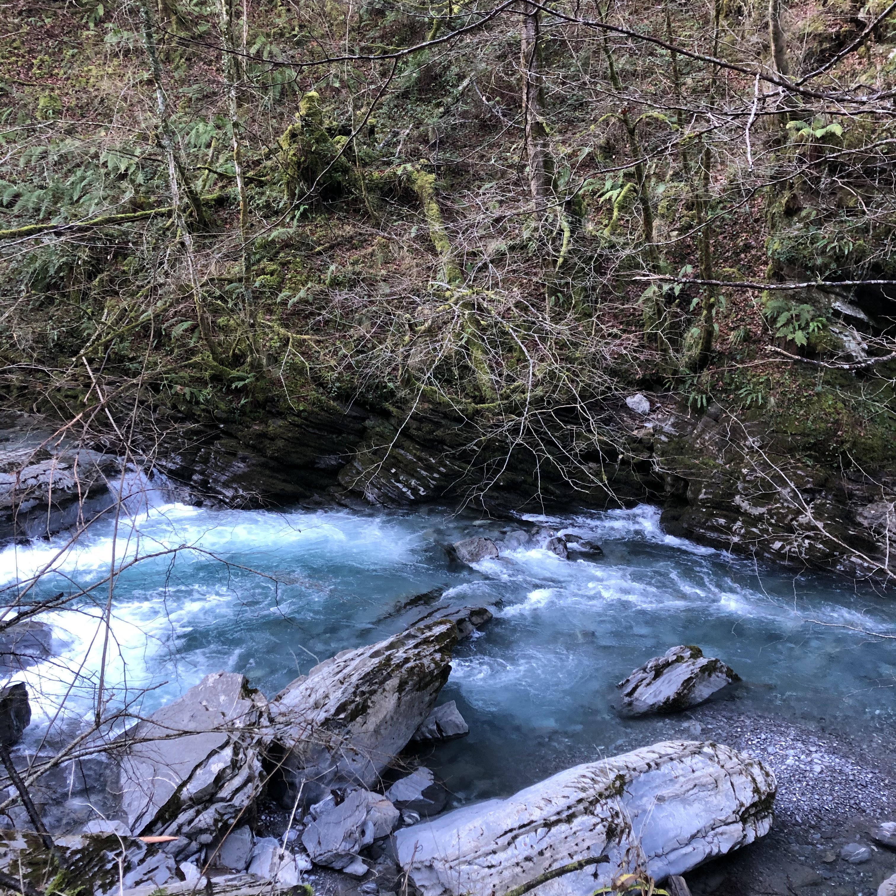 Photo n° 2 de l'avis de Maxime.- fait le 21/11/2021 à 21:09