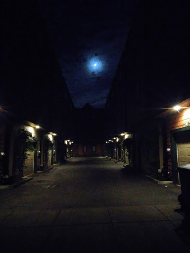 Bar «The Liquor Store», reviews and photos, 3341 SE Belmont St, Portland, OR 97214, USA