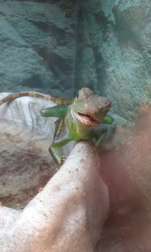 Pet Supply Store «Petco Animal Supplies», reviews and photos, 1145 N Hermitage Rd, Hermitage, PA 16148, USA