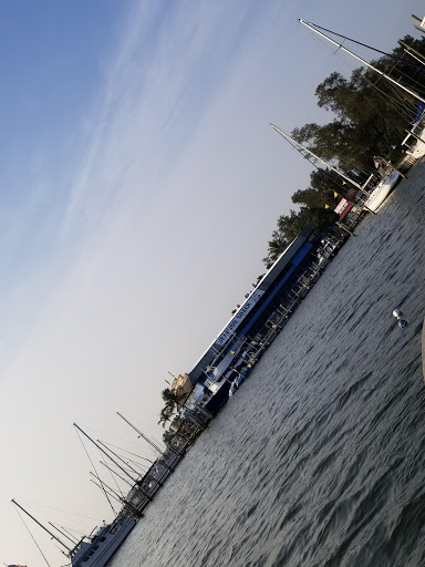 Winery «Florida Winery», reviews and photos, 12945 Village Blvd, Madeira Beach, FL 33708, USA