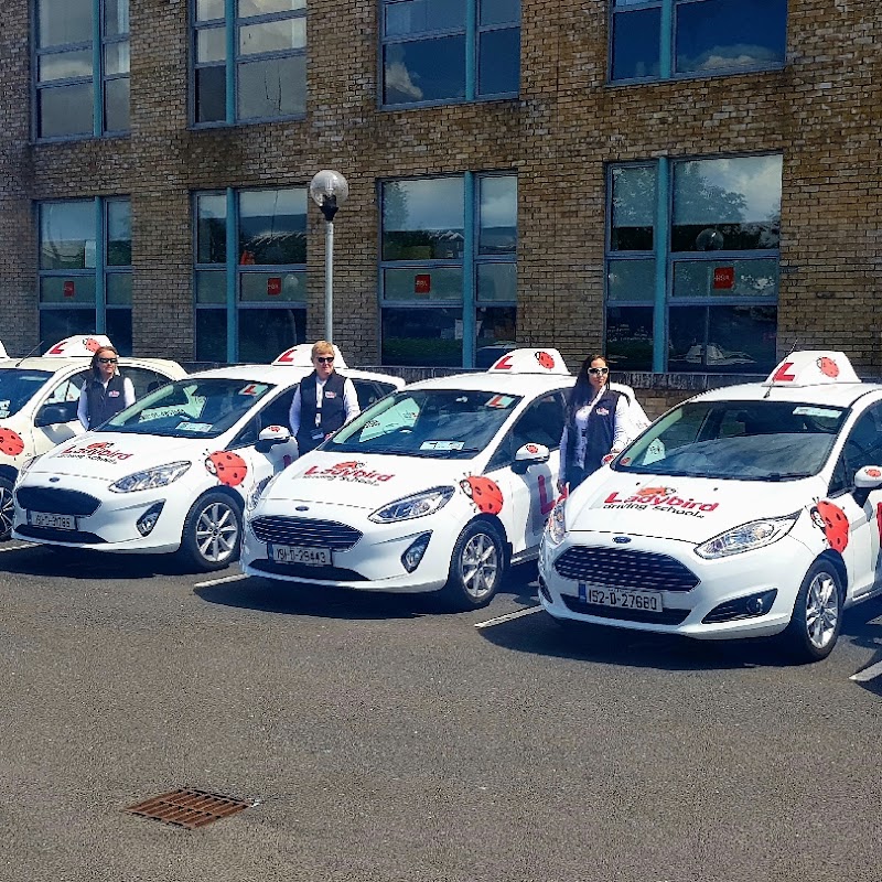 Ladybird Driving School Tallaght