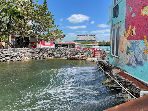Aquarium «Florida Keys Aquarium Encounters», reviews and photos, 11710 Overseas Hwy, Marathon, FL 33050, USA
