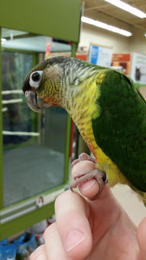 Pet Supply Store «Petco Animal Supplies», reviews and photos, 5631 Grove Blvd, Hoover, AL 35226, USA