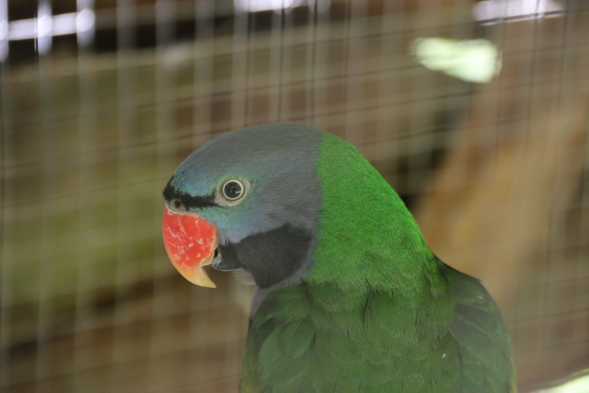 Photo n° 15 de l'avis de Patrice.o fait le 18/08/2023 à 18:06