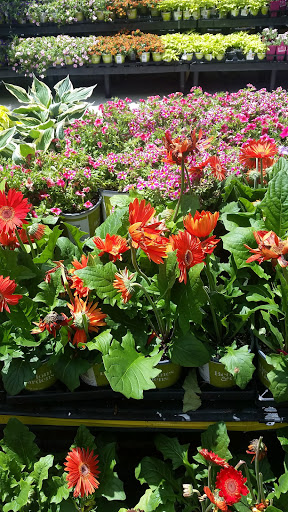 Department Store «Walmart Supercenter», reviews and photos, 1801 Nathan Dean Bypass, Rockmart, GA 30153, USA