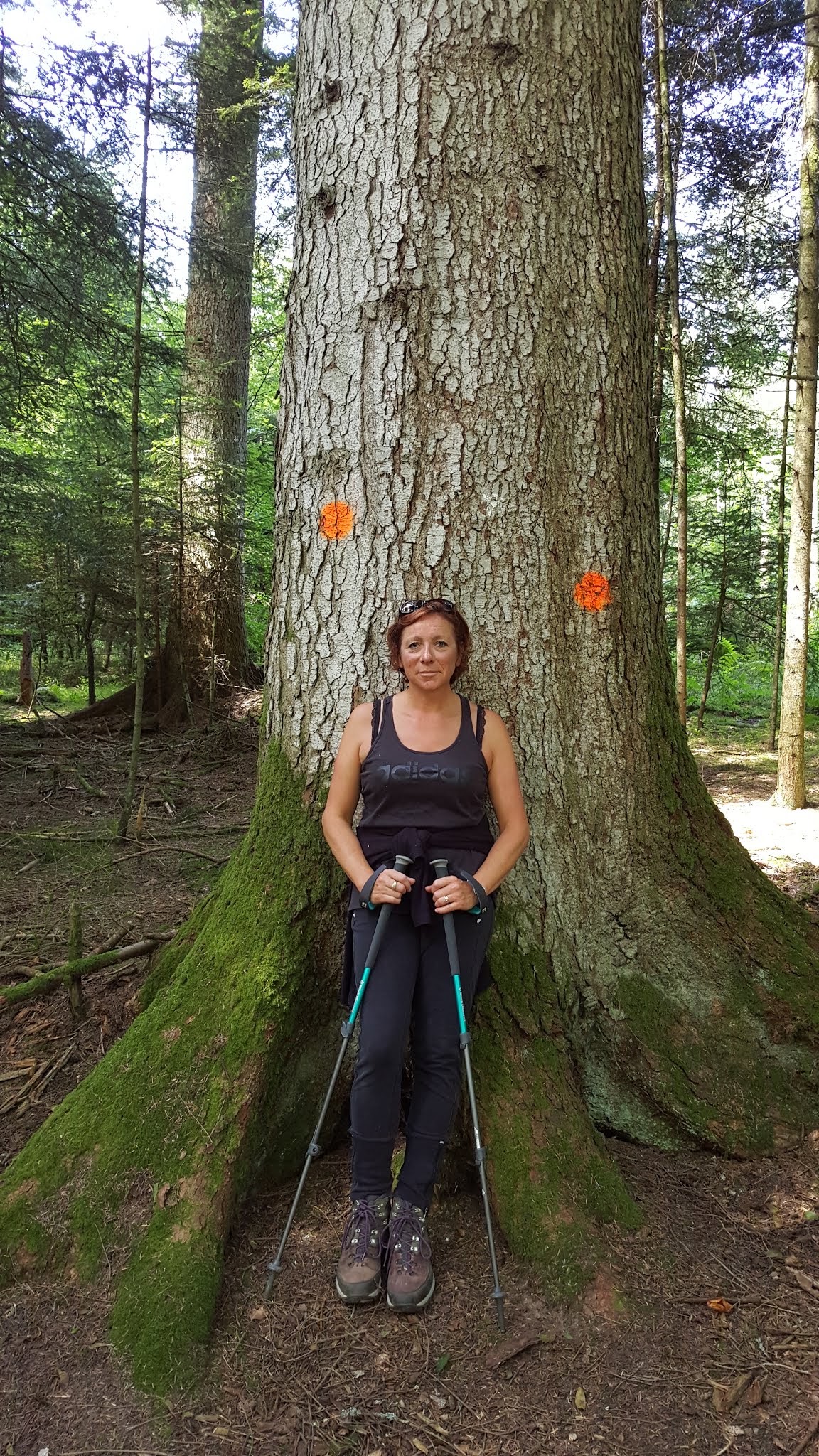 Photo n° 5 de l'avis de Jean-Paul.o fait le 22/08/2019 à 12:36