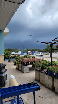 Lowe's Garden Center - Photo 6 - Car repair in Palm Bay, FL, Palm Bay