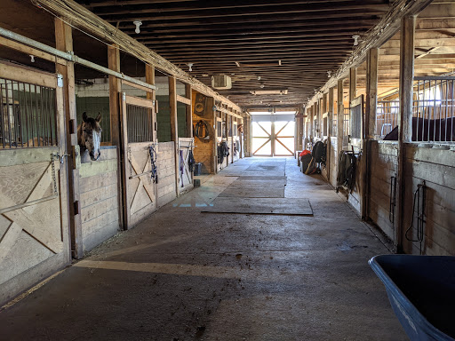 Meadow Green Stables