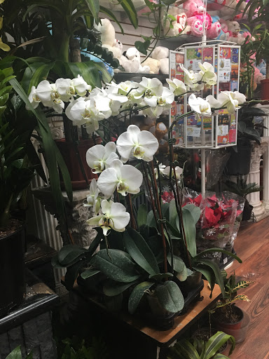 Florist «Jazmin Florist», reviews and photos, 1286 St Nicholas Ave, New York, NY 10033, USA