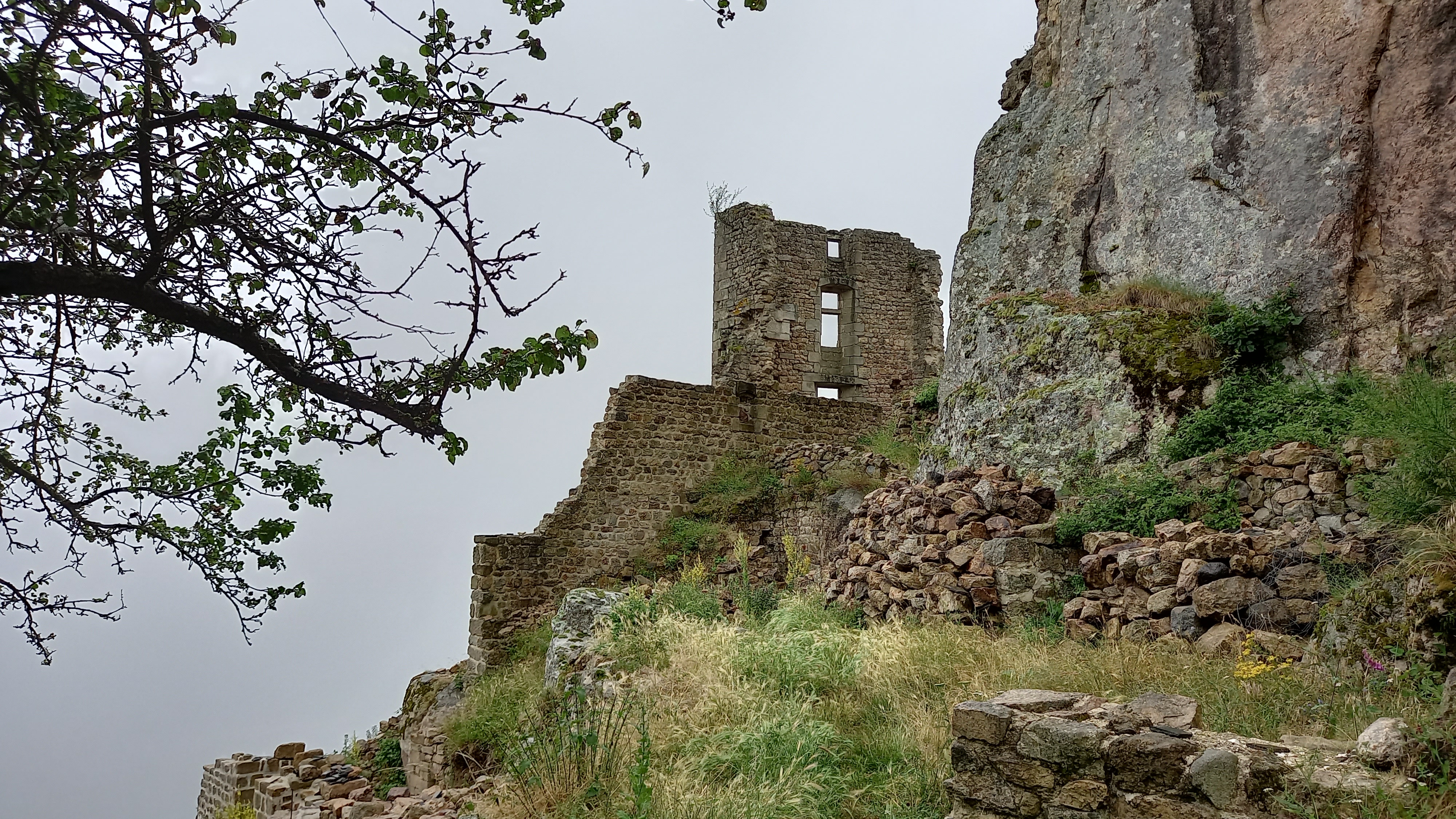 Photo n° 2 de l'avis de Lina.A fait le 04/07/2021 à 09:04