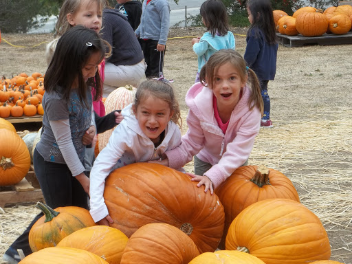 Preschool Thousand Oaks