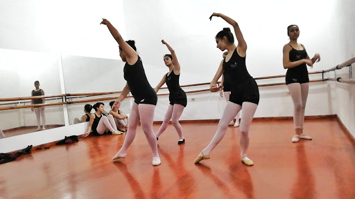 Cursos de pole dance en Asunción