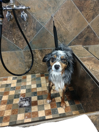 Pet Store «Pet Valu», reviews and photos, 7431 Westbranch Hwy, Lewisburg, PA 17837, USA