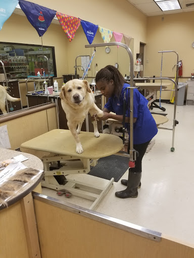 Pet Supply Store «PetSmart», reviews and photos, 7225 Bell Creek Rd Ste 228, Mechanicsville, VA 23111, USA