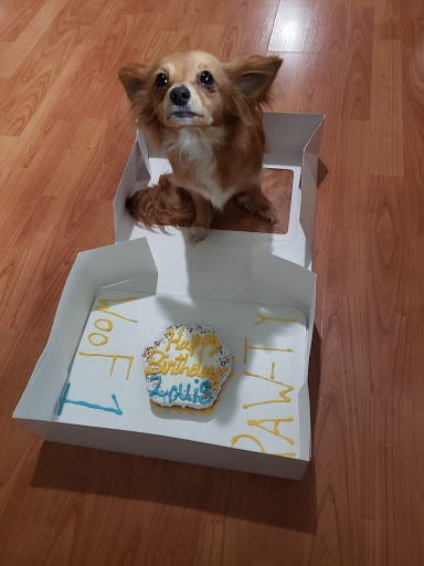 Pet Supply Store «Treats Unleashed», reviews and photos, 306 Mid Rivers Center, St Peters, MO 63376, USA