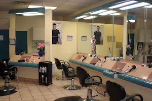 The Hair Attraction Studio