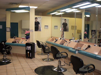 The Hair Attraction Studio