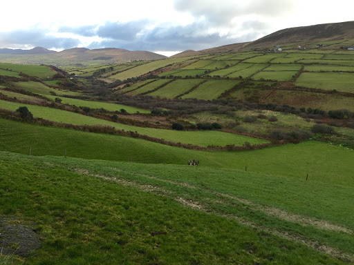 Travel Agency «BNT Travel Group», reviews and photos, 703 Brighton Beach Ave, Brooklyn, NY 11235, USA