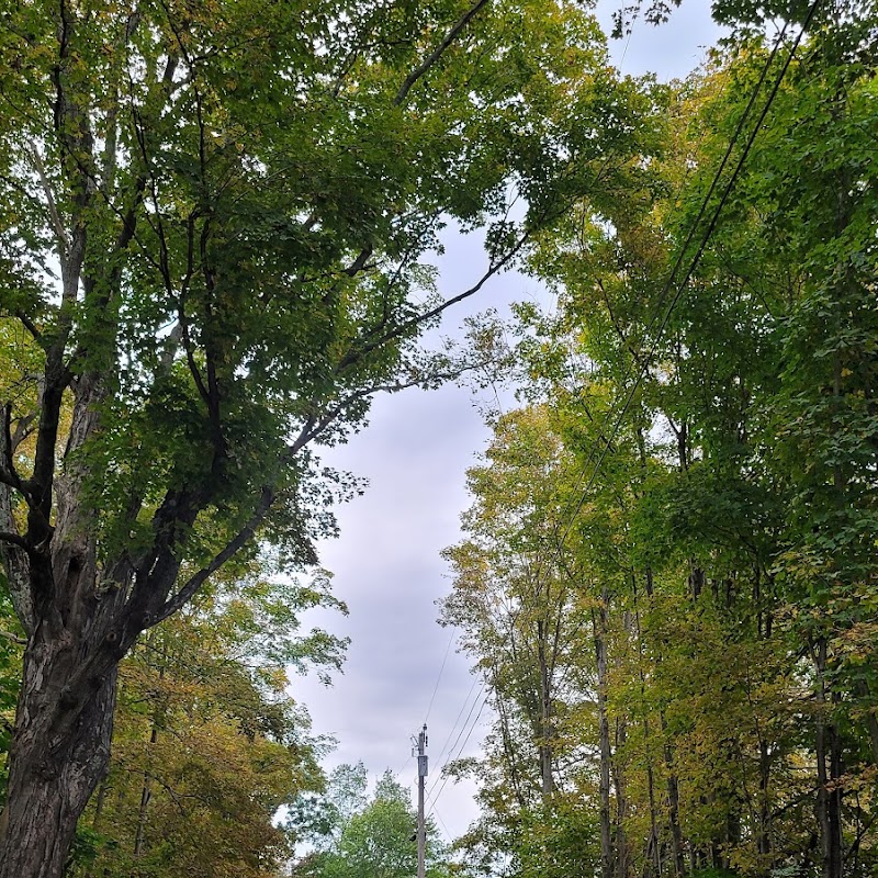 Mansfield Center Cemetery