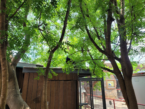 Zoo «Animal World & Snake Farm Zoo», reviews and photos, 5640 Interstate 35 Frontage Rd, New Braunfels, TX 78132, USA