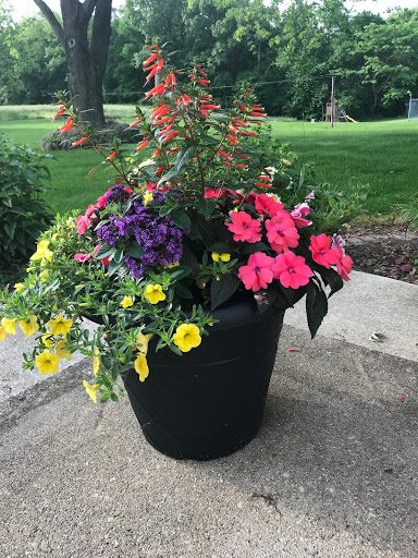 Florist «Parkview Gardens Florist & Greenhouse», reviews and photos, 1925 W Randolph St, St Charles, MO 63301, USA