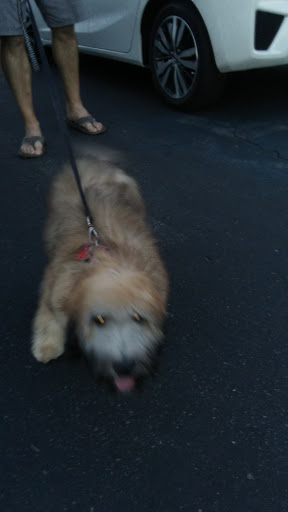 Craft Store «Michaels», reviews and photos, 537 N Stephanie St, Henderson, NV 89014, USA