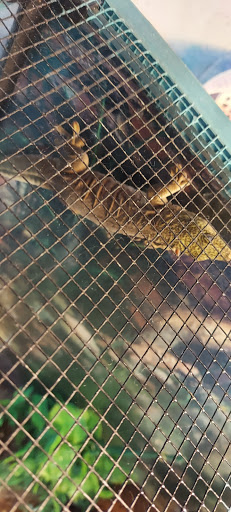 Aquarium «Biomes Marine Biology Center», reviews and photos, 6640 Post Rd, North Kingstown, RI 02852, USA