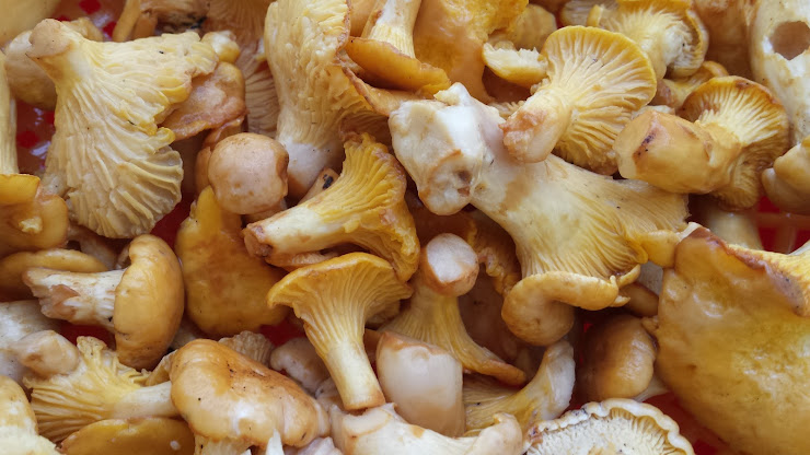 Plats et boissons Chambre d'hôtes Chambres d'hôtes de Malvalette 43210 Malvalette