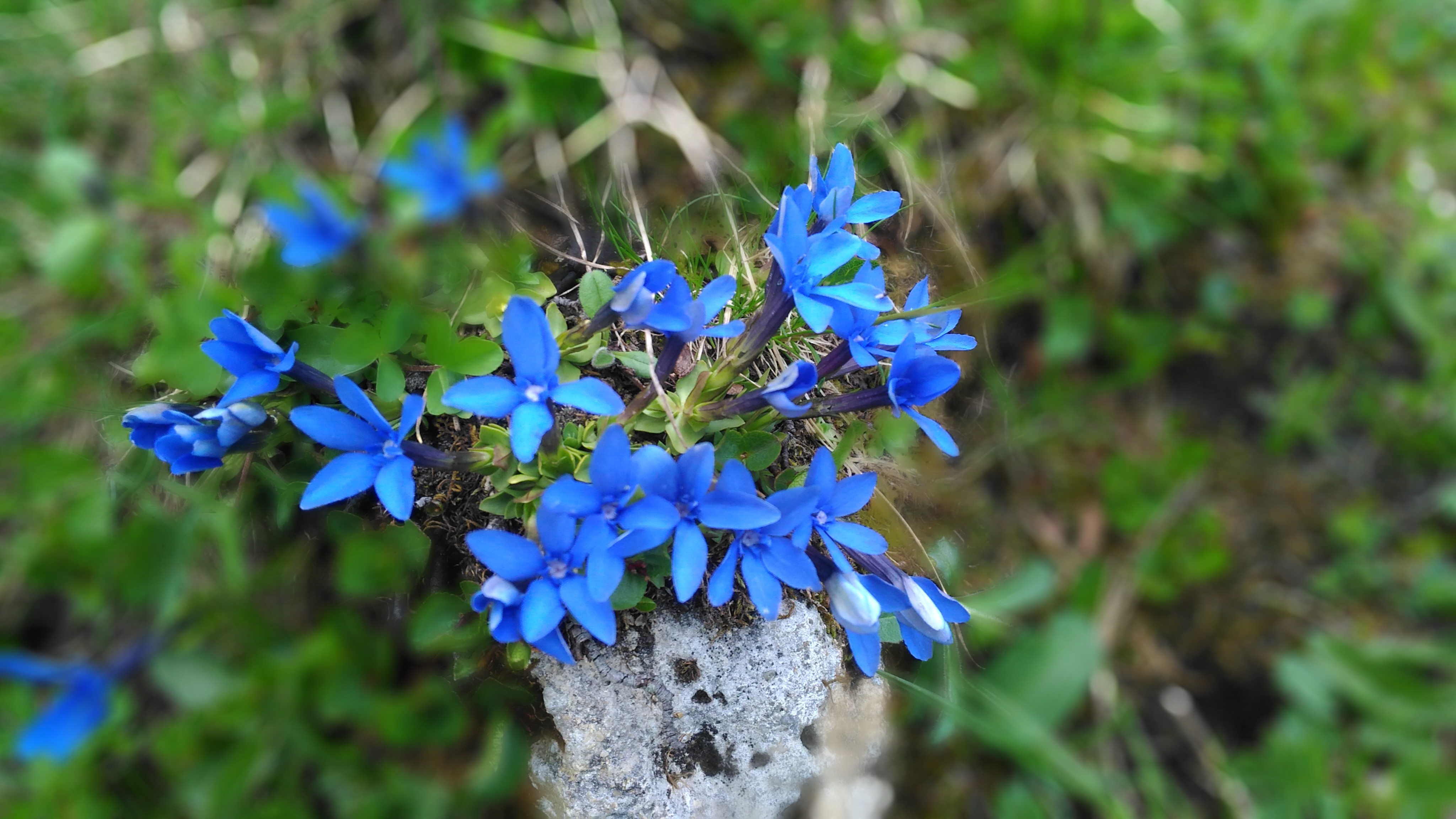 Photo n° 40 de l'avis de CHRIST. fait le 25/07/2018 à 18:05