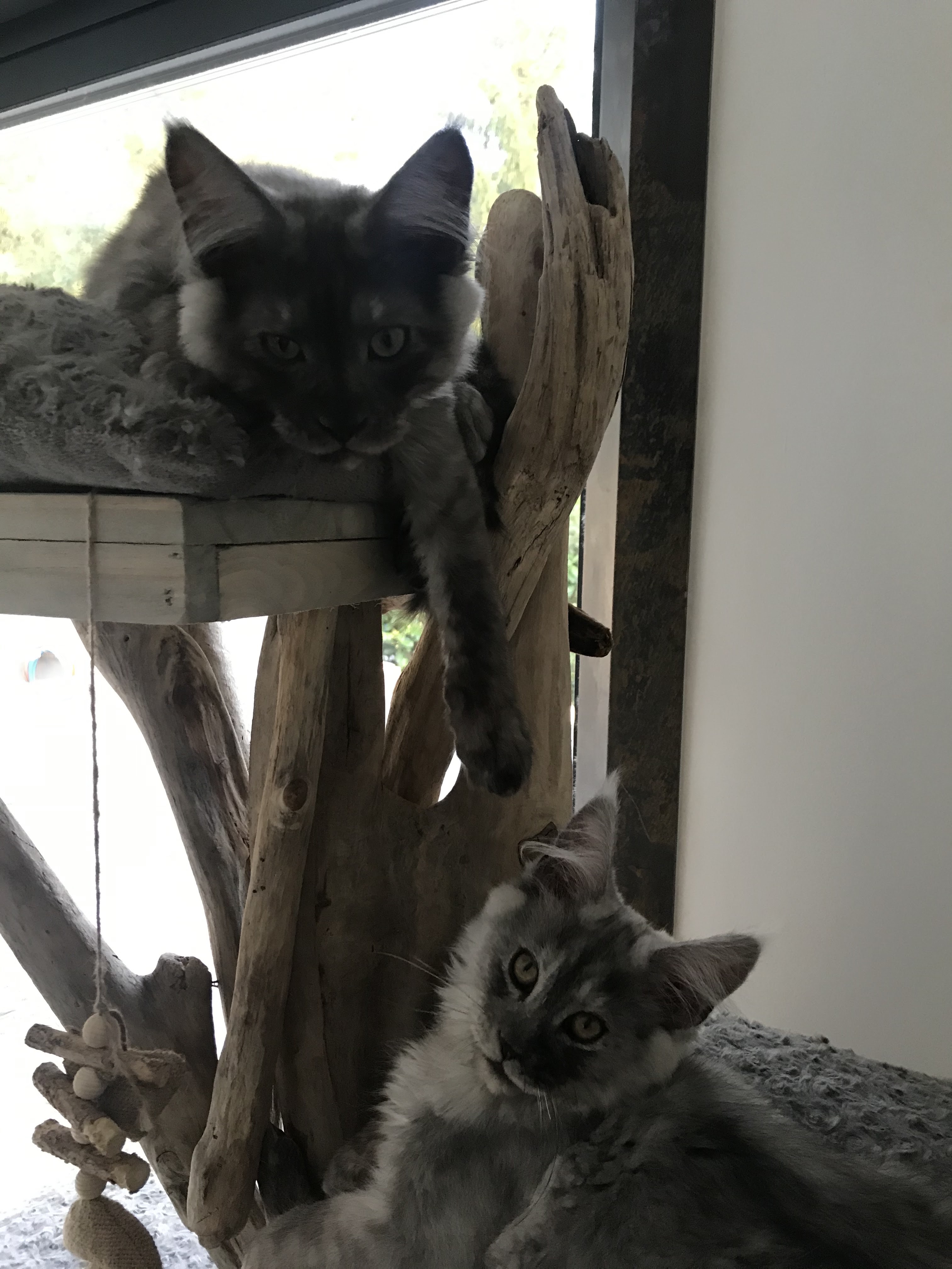 Photo n° 1 de l'avis de Estelle.o fait le 31/08/2021 à 19:28