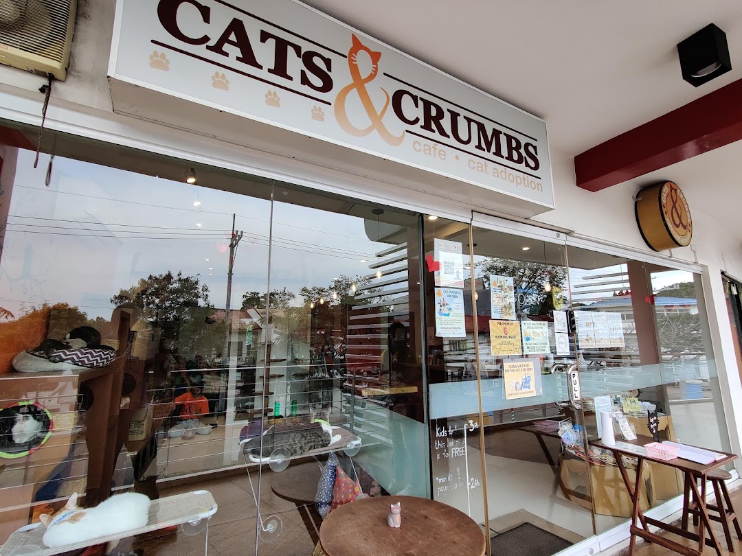 Cats and Crumbs