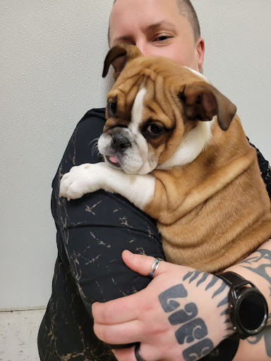 Pet Store «Yuppy Puppy Pet Shop», reviews and photos, 292 Frantz Rd, Stroudsburg, PA 18360, USA