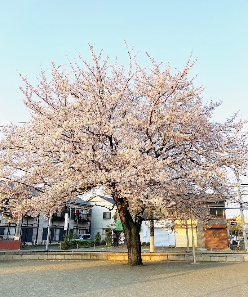 桜森わいわい公園