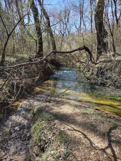 Buzzard Roost Springs Parking Loop