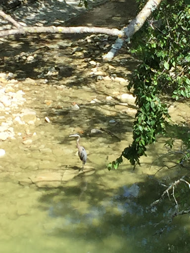 Amusement Park «Hydrous Wake Park», reviews and photos, 580 N Cedar Dr, Allen, TX 75002, USA