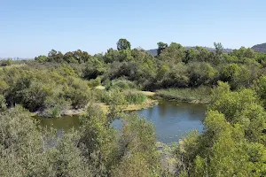 Tijuana River County Open Space Preserve image