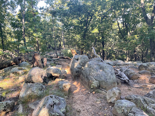 National Park «Kennesaw Mountain National Battlefield Park», reviews and photos, 900 Kennesaw Mountain Dr, Kennesaw, GA 30188, USA