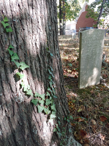 Museum «The Long Island Museum», reviews and photos, 1200 NY-25A, Stony Brook, NY 11790, USA