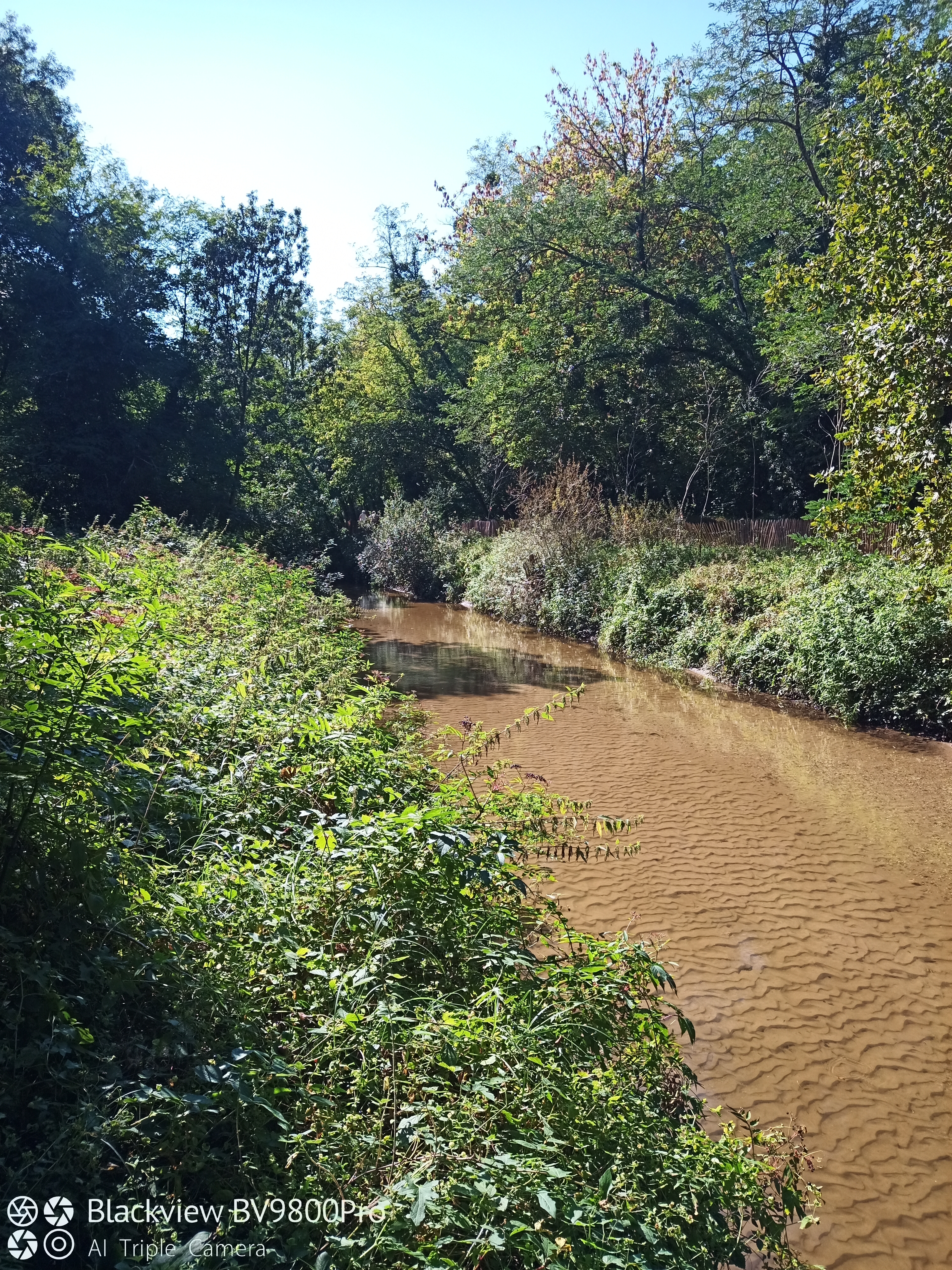 Photo n° 3 de l'avis de Gilles.A fait le 16/09/2021 à 12:47