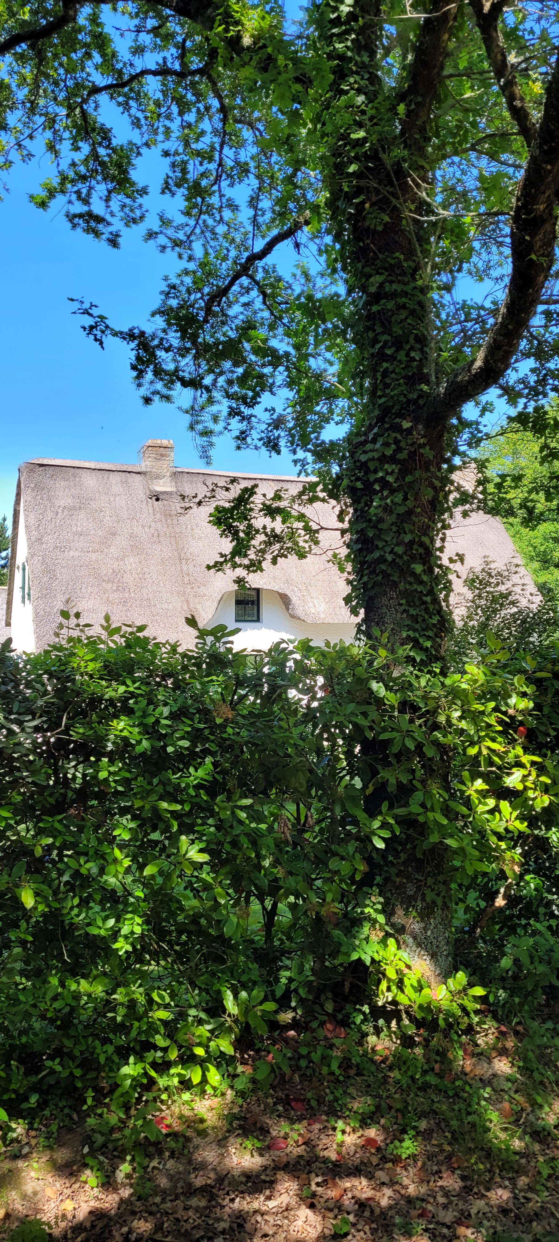 Photo n° 18 de l'avis de Didier.e fait le 04/06/2023 à 16:15
