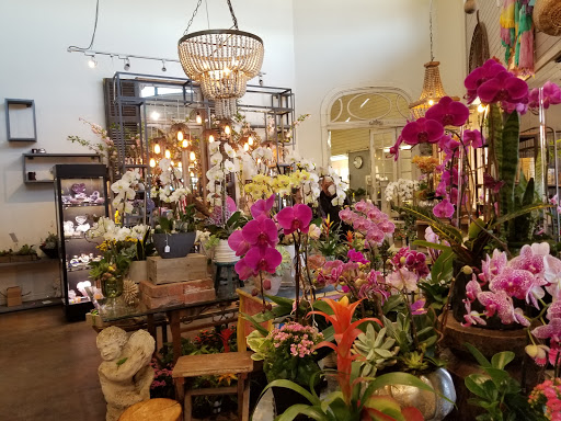 Florist «Enchanted Florist», reviews and photos, 11102 Los Alamitos Blvd, Los Alamitos, CA 90720, USA