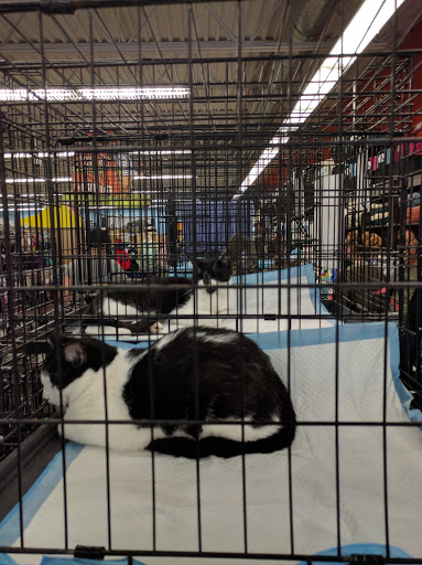 Pet Supply Store «Unleashed by Petco», reviews and photos, 81 7th Ave, Brooklyn, NY 11217, USA