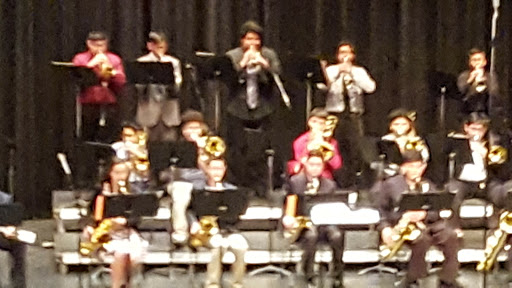 Performing Arts Theater «HCISD Performing Arts Center», reviews and photos, 3217 Wilson Rd, Harlingen, TX 78552, USA