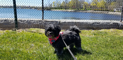 Memorial Park «Beverly David S Lynch Park», reviews and photos, 55 Ober St, Beverly, MA 01915, USA