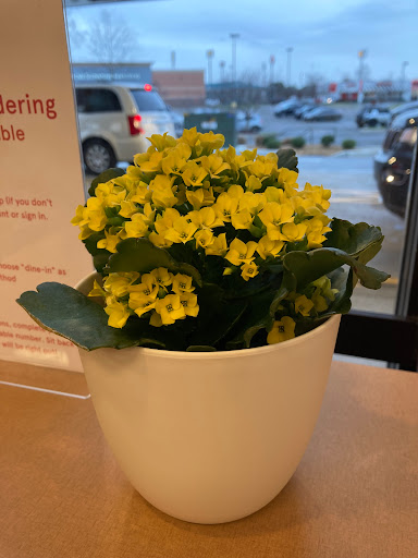 Fast Food Restaurant «Chick-fil-A», reviews and photos, 2005 Old Fort Pkwy, Murfreesboro, TN 37129, USA