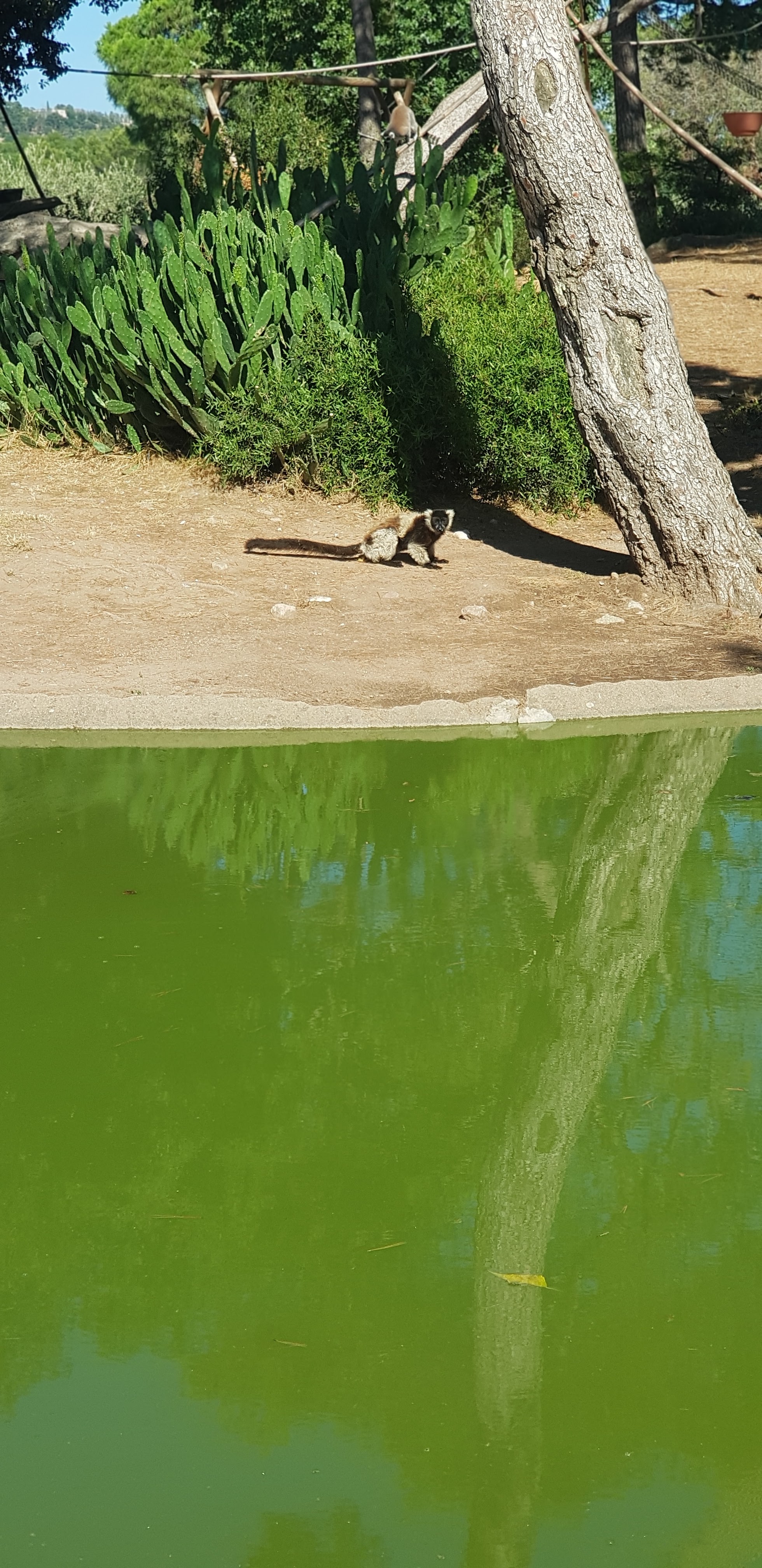 Photo n° 23 de l'avis de stephanie.a fait le 05/08/2018 à 15:29