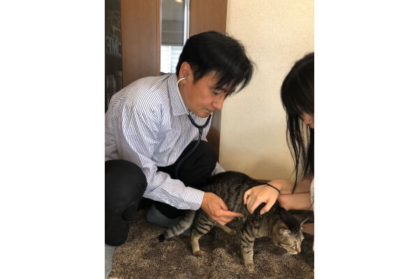Puppy Cat Clinic