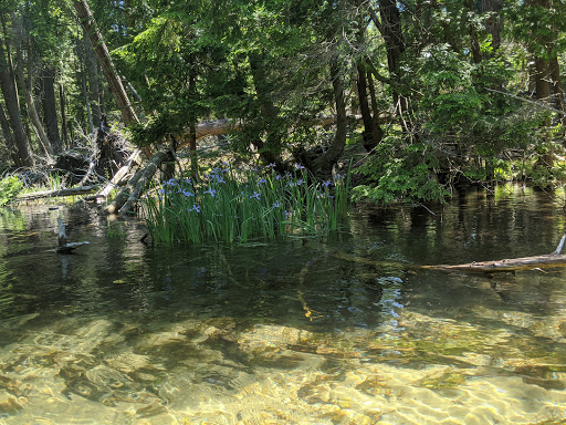 Canoe & Kayak Rental Service «Crystal River Outfitters Recreational District», reviews and photos, 6249 River Rd, Glen Arbor, MI 49636, USA