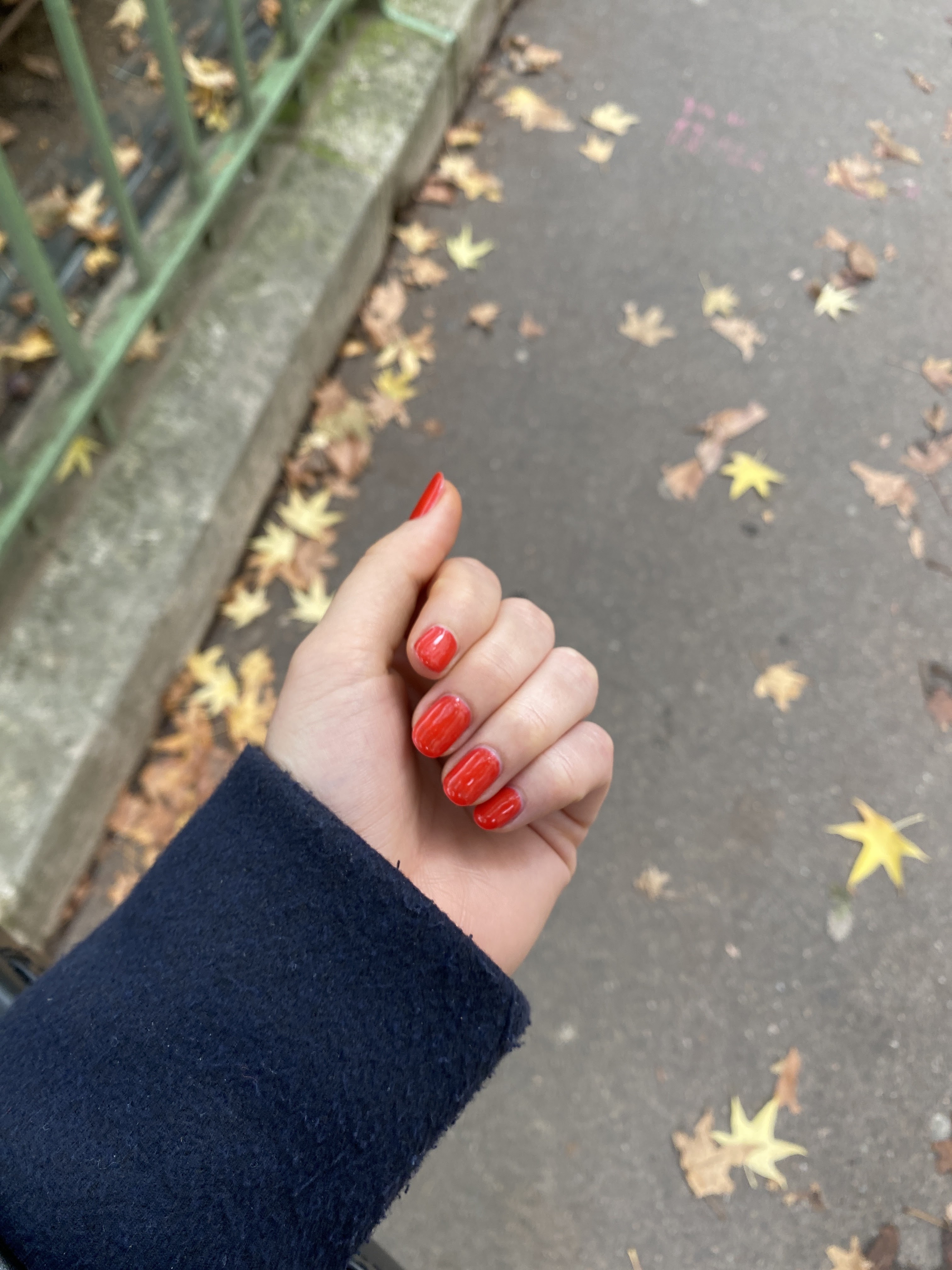 Photo n° 1 de l'avis de Elisa.a fait le 31/10/2023 à 10:03