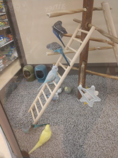 Pet Supply Store «Petco Animal Supplies», reviews and photos, 877 Central Ave, Dover, NH 03820, USA